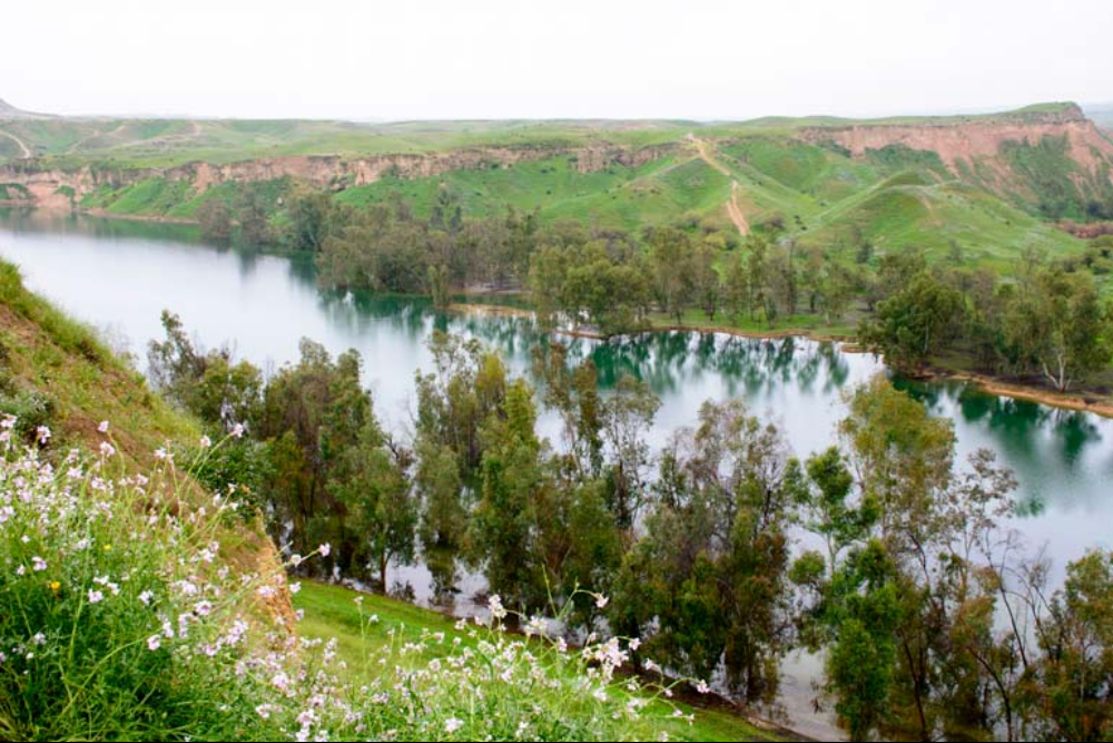 Behbahan