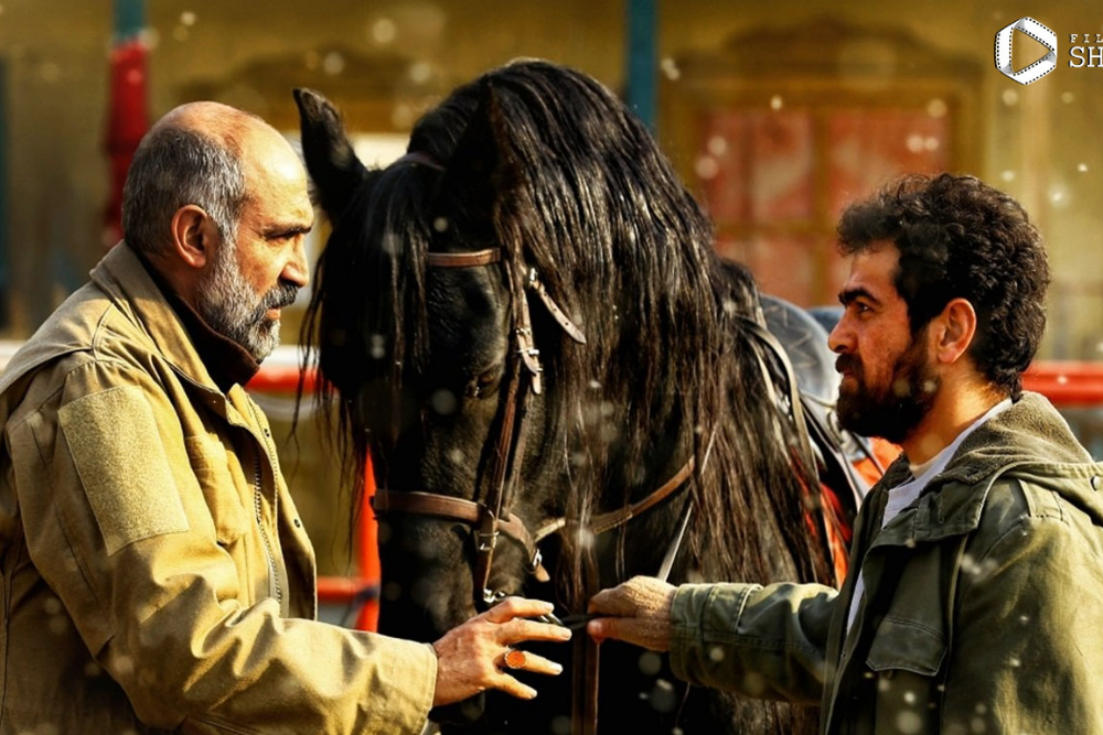 فیلم