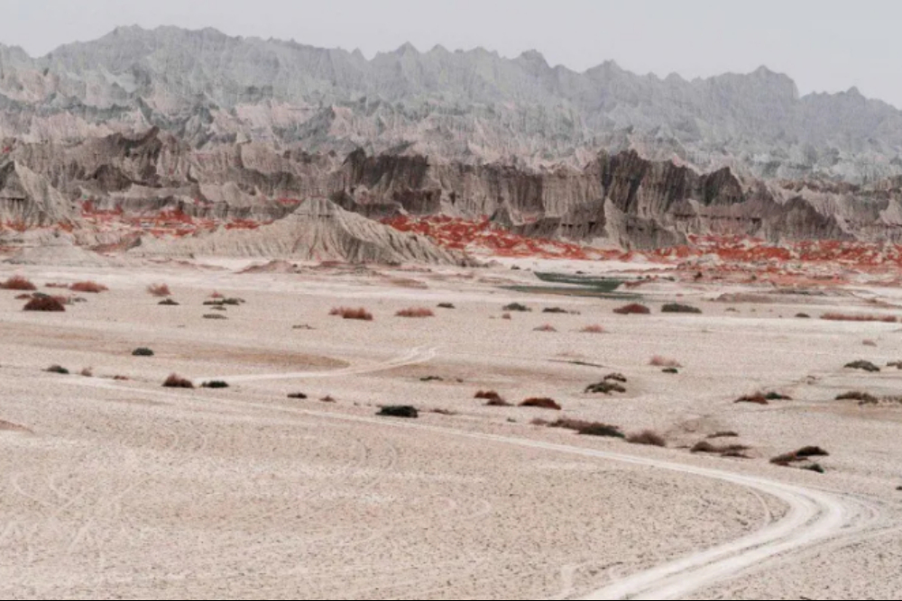 بریس