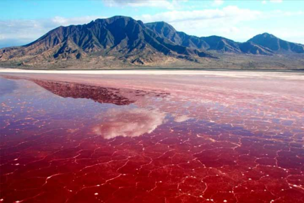 بندربریس