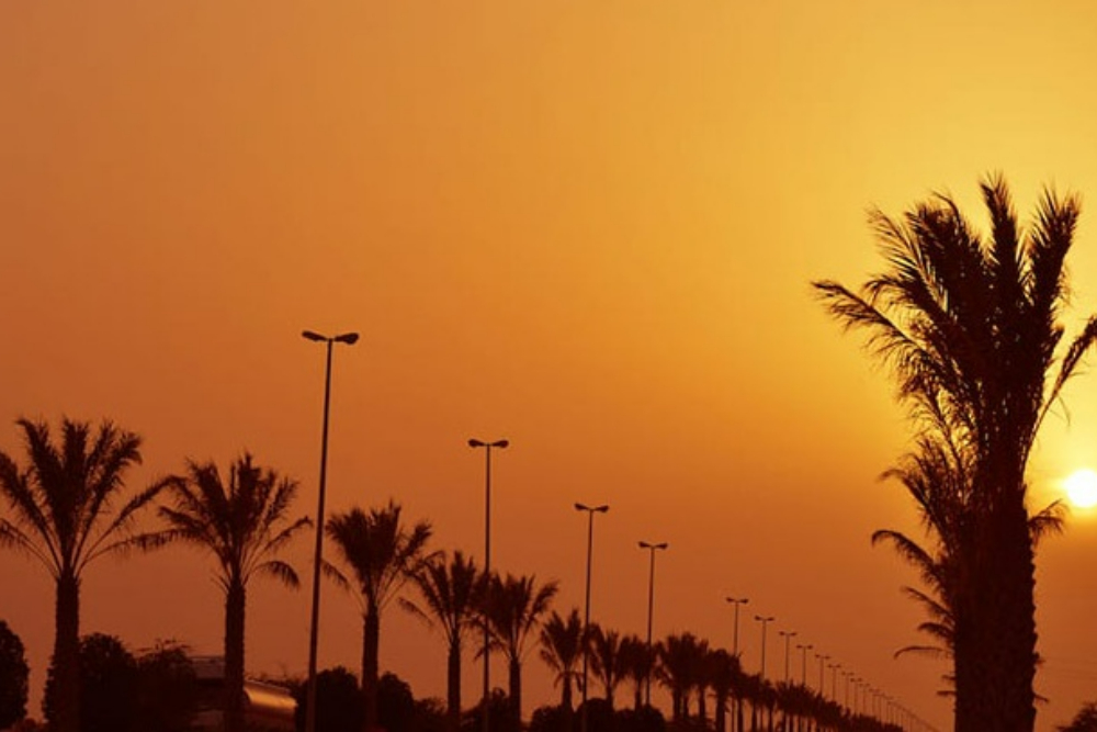 Genaveh