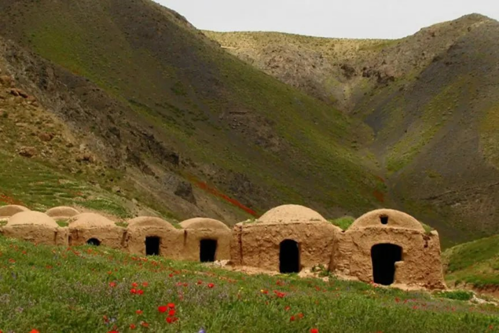تربت+جام