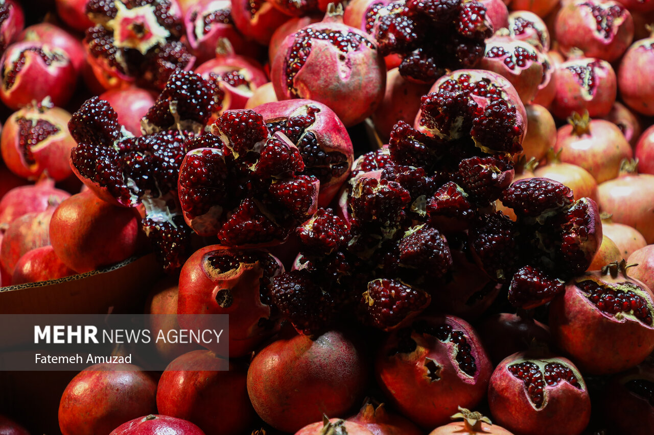 yalda