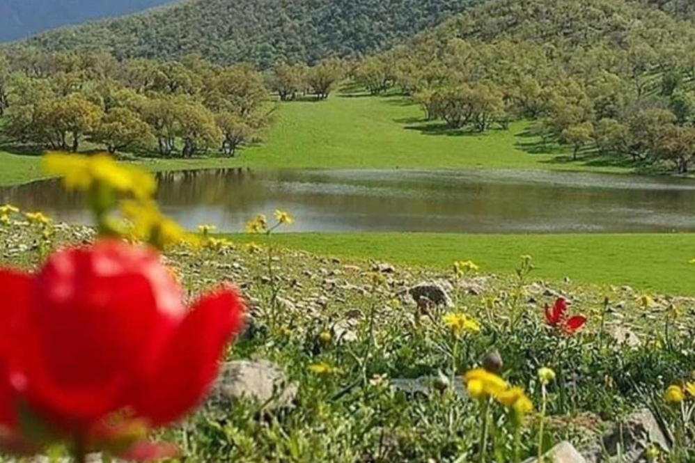 ایران+نما