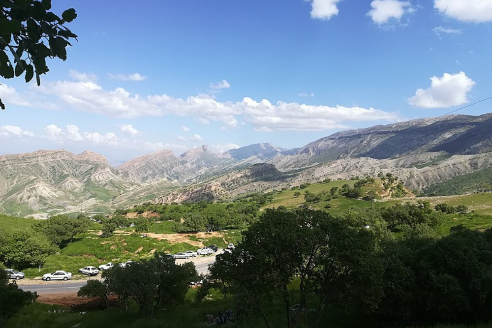 بدره