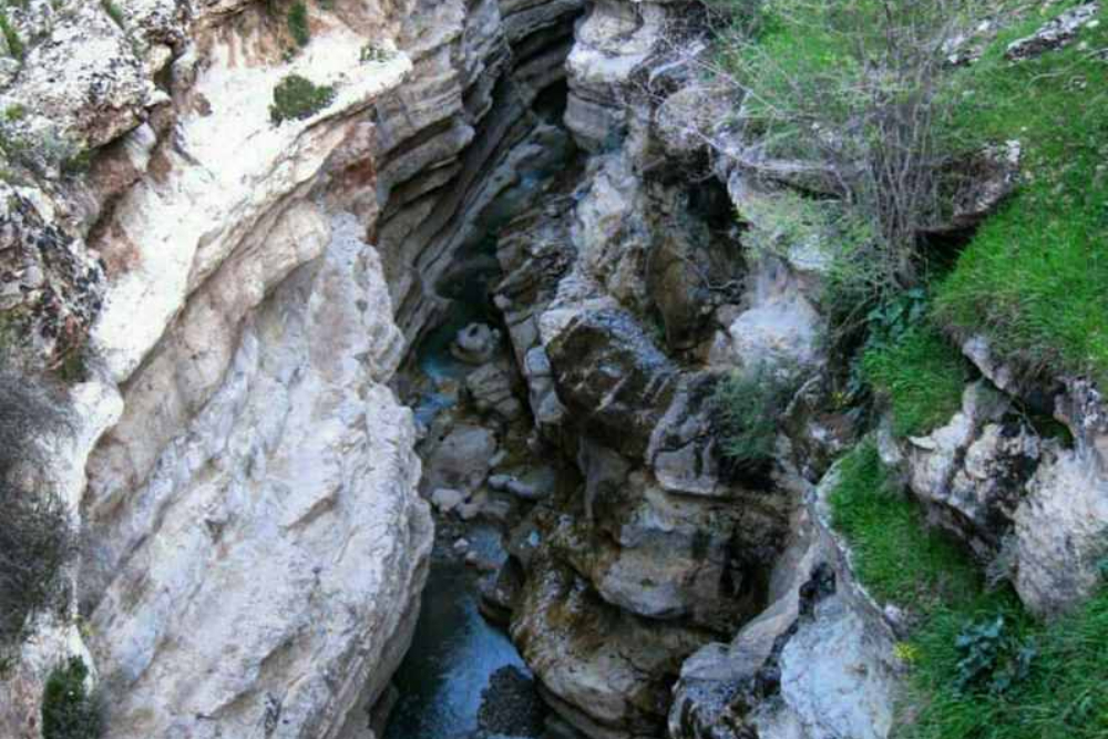 بدره