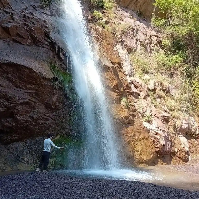 جیرفت
