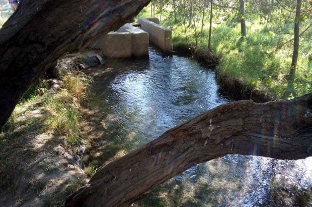 چناران