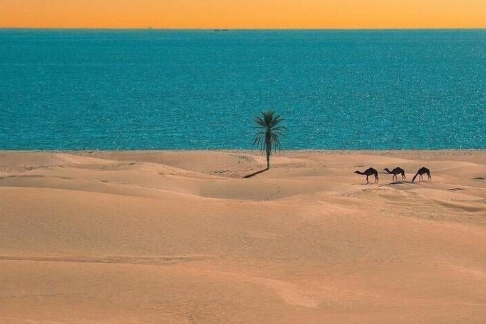 درک