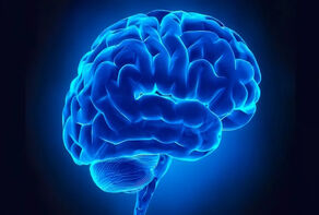 تنوع غذایی چه اثری بر مغز دارد؟ نتایج یک پژوهش سیستماتیک