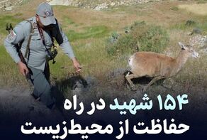 فرمانده یگان حفاظت محیط زیست از فداکاری محیط‌بانان و شهدای این عرصه تجلیل کرد