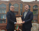 سفیر هند در تهران با غریب‌آبادی دیدار کرد؛ تأکید بر تقویت روابط دوجانبه