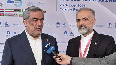 Iran is pursuing energy diplomacy dynamically, resolutely: Minister