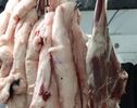 قیمت گوشت قرمز امروز یکشنبه ۱۹ مهر؛ نرخ گوشت گوسفندی و گوساله 