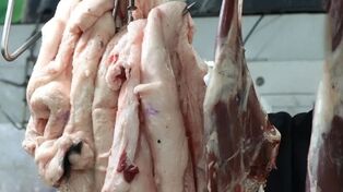 قیمت گوشت قرمز امروز یکشنبه ۱۹ مهر؛ نرخ گوشت گوسفندی و گوساله 