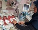 افزایش ۲۹ درصدی چندقلوزایی در هرمزگان؛ بندرعباس رکورددار شد