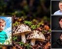مرگ تلخ ۴ عضو خانواده سمنانی پس از مصرف قارچ سمی؛ ماجرای مصرف قارچ سمی چه بود؟