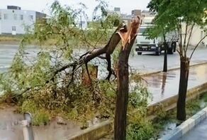 ساز‌ه غیرمجاز در گلشهر زیر فشار باد فرو ریخت