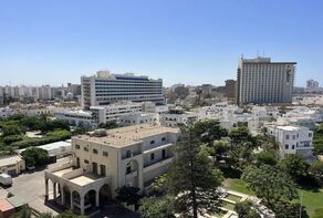 موضع مشترک الجزایر، مصر و تونس درباره لیبی؛ مخالفت با مداخله خارجی