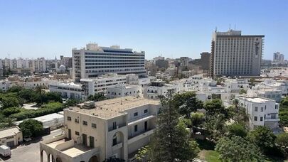 موضع مشترک الجزایر، مصر و تونس درباره لیبی؛ مخالفت با مداخله خارجی