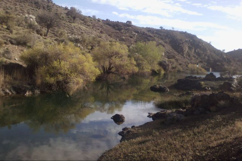 M2EzNDM4WATP