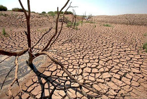 Drought: The most serious crisis of the century