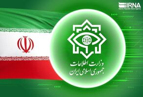 Intelligence forces disband terror team in southeastern Iran