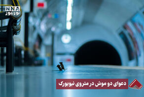 نورنما | دعوای دو موش در متروی نیویورک