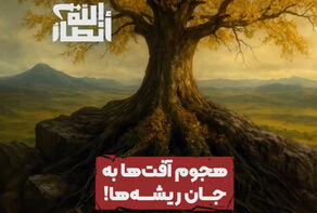 هجوم افت‌ها به جان ریشه‌ها | قسمت دوم
