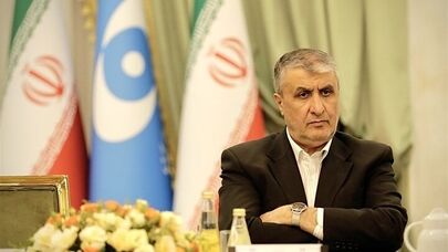 Threats from enemies persist: Iran nuclear chief