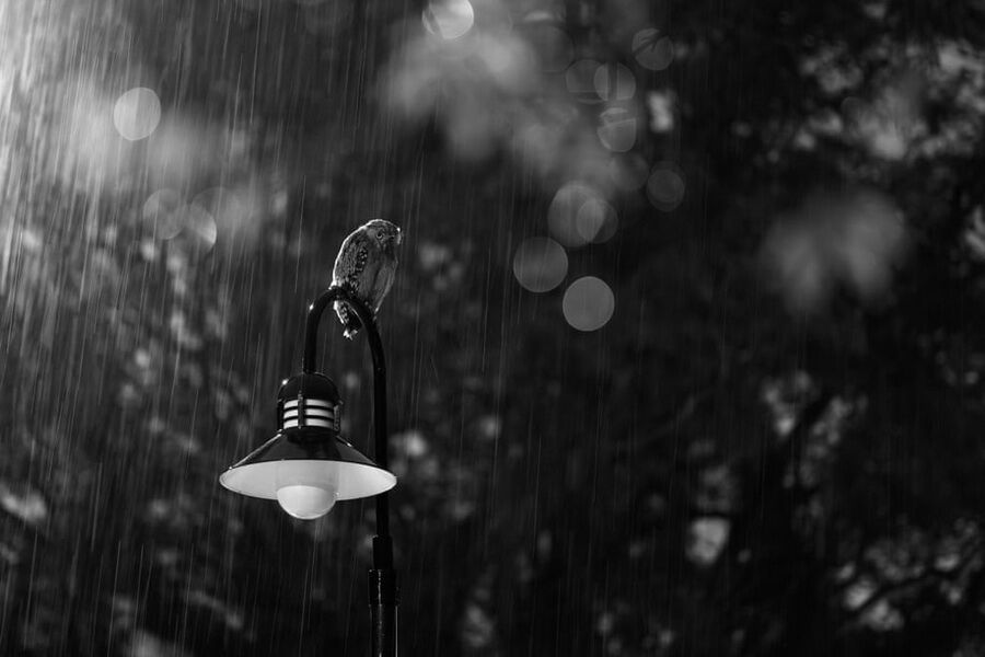 M2NiMTQjVQzz