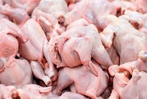 Iran reports 8% y/y rise in poultry output in September