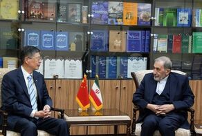 Velayati praises strategic, deep-rooted Iran-China relations