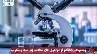 نورنما | ویدیویی حیرت‌انگیز از مولکول‌های مختلف زیر میکروسکوپ