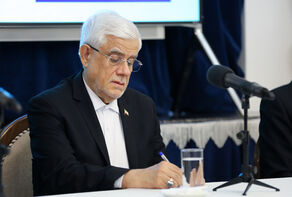 Developing multilateral relations with regional blocs one of Iran’s priorities: VP Aref