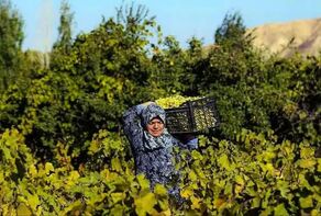 Introduction to Tourist Attractions of Iranian Cities