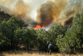 Iran says Chalous forest fire 90% contained, final operations underway