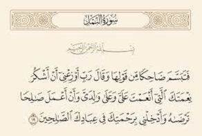 قبسات قرآنية.. فَتَبَسَّمَ ضَاحِكاً مِّن قَوْلِهَا ...