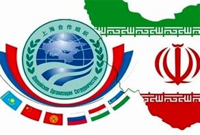 منظمة شنغهاي.. دور محوري لا ينحصر في الاقتصاد