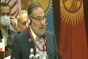 Secretary of the Supreme National Security Council of Iran addressing the third regional security dialogue meeting in New Delhi