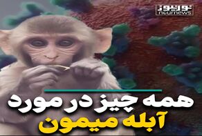 همه‌ چیز در مورد آبله میمون