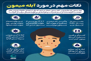 نکاتی مهم در مورد آبله میمون