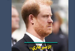 الأمير هاري.. أنموذج فاضح لحقيقة النظام الحاكم في بريطانيا