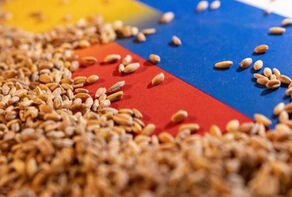 NATO has shot down a vital agreement regarding world’s food security
