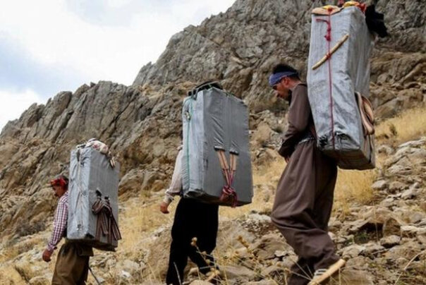 ما بی‌کاری را کول می‌کنیم!