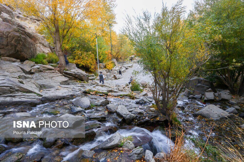 MjVlYTEoqtcQ
