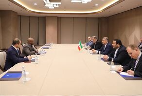 Iran hails D8's support for Palestinian people