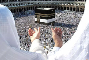 چه تعداد زائران عمره پول خود را پس گرفتند؟