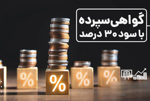 سرانجام عرضه اوراق سپرده خاص با سود 30 درصد چه خواهد شد؟