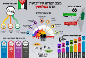 מצב הפרות של זכויות אדם בפלסטין